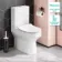 Denver Rimless Fully Back to Wall Close Coupled Toilet With Soft Close Slim Seat