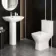 Atlanta Rimless Close Coupled Toilet & Pedestal Basin Set
