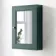 Midnight Green Mirror Cabinet 700x500mm