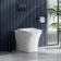 Houston Rimless Back To Wall Toilet With Premium Soft Close Seat