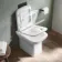 Dallas Rimless Back To Wall Toilet With Soft Close Seat