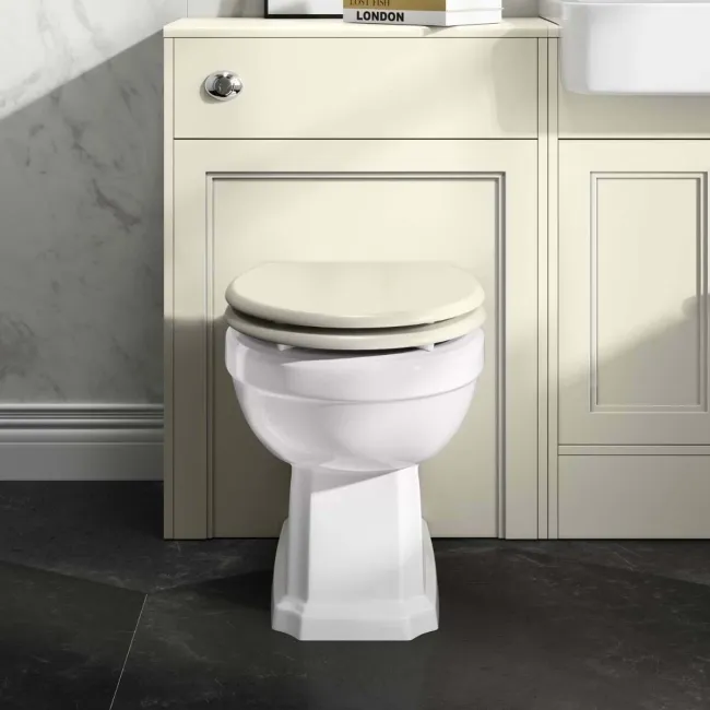 Hudson Traditional Back To Wall Toilet With Chalk White Wooden Seat