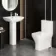 Atlanta Fully Back to Wall Close Coupled Toilet & Pedestal Basin Set