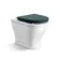 Kansas Traditional Rimless Back To Wall Toilet With Midnight Green Wooden Seat