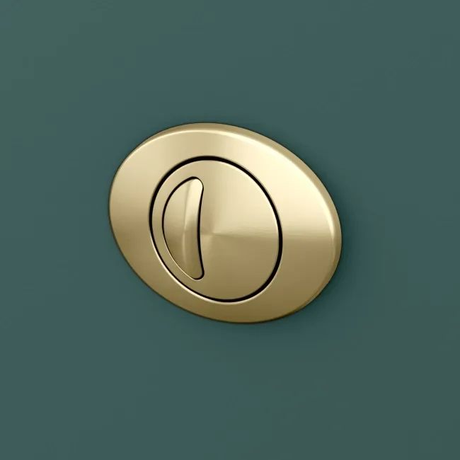 Detroit Cable Operated Concealed Cistern with Brushed Brass Push Button Dia.60mm