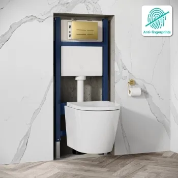 Idaho Pneumatic Wall Hung Toilet Frame and Concealed Cistern with Brushed Brass Flush Plate - Square Buttons