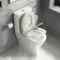 Kansas Traditional Rimless Close Coupled Toilet With Chalk White Wooden Seat