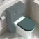 Kansas Traditional Rimless Back To Wall Toilet With Midnight Green Wooden Seat