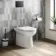 Aruba Rimless Back To Wall Toilet With Soft Close Seat