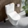 Tucson Rimless Close Coupled Toilet With Soft Close Seat