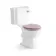Hudson Traditional Close Coupled Toilet With Cashmere Pink Wooden Seat - Brushed Brass Lever