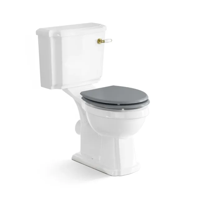 Hudson Traditional Close Coupled Toilet With Dove Grey Wooden Seat - Brushed Brass Lever