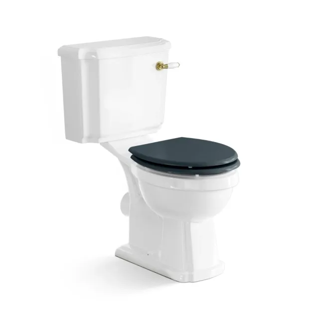 Hudson Traditional Close Coupled Toilet With Inky Blue Wooden Seat - Brushed Brass Lever