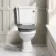 Hudson Traditional Close Coupled Toilet With Dove Grey Wooden Seat - Brushed Brass Lever