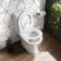 Napa Rimless Close Coupled Toilet With Slim Soft Close Seat
