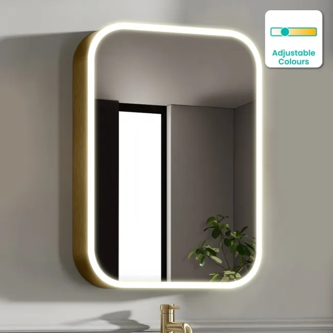 Willow Brushed Brass Illuminated LED Mirror Cabinet 700x500mm