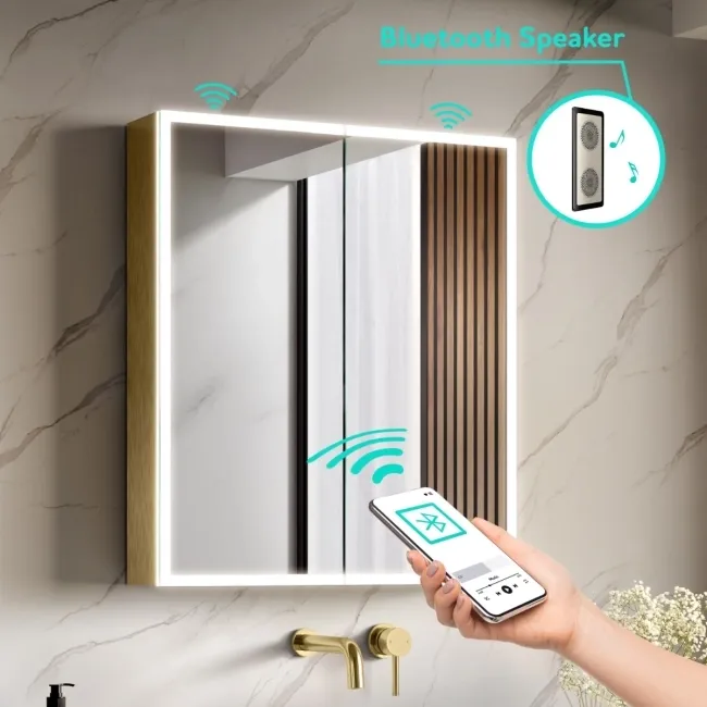 Margot Brushed Brass Illuminated LED Mirror Cabinet With BLUETOOTH Speaker & USB Port 700x600mm