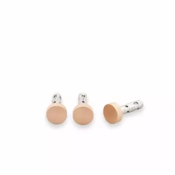 Trepanel Customise® Shelf Long Screw 3 pk Brass