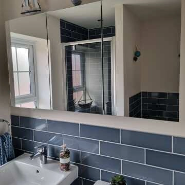 Elena Stainless Steel Mirror Cabinet 650x1200mm