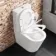 Boston Rimless Close Coupled Toilet With Premium Soft Close Slim Seat