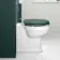 Hudson Traditional Back To Wall Toilet With Midnight Green Wooden Seat