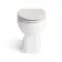 Hudson Traditional Back To Wall Toilet With Cotton White Wooden Seat - Brushed Brass Hinges