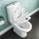 Seattle Rimless Close Coupled Toilet & Pedestal Basin Set