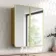 Olivia Matt Brass Mirror Cabinet 710x600mm