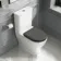 Kansas Traditional Rimless Close Coupled Toilet With Graphite Grey Wooden Seat