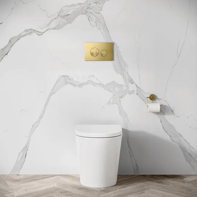 Idaho Pneumatic Concealed Cistern with Brushed Brass Flush Plate - Round Buttons