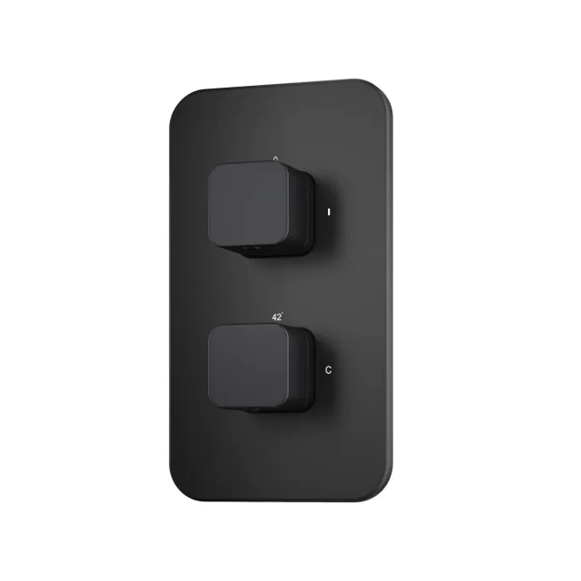 Galway Premium Matt Black Square Thermostatic Shower Valve - 2 Outlets