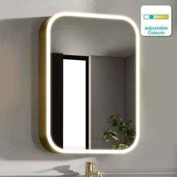 Willow Brushed Brass Illuminated LED Mirror Cabinet 700x500mm