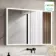 Margot Illuminated LED Mirror Cabinet 700x1000mm