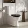 Alma Traditional Rimless Close Coupled Toilet With Gloss Black Wooden Soft Close Seat