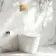 Loma Rimless Back To Wall Toilet With Premium Soft Close Slim Seat