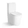 Loma Matt White Rimless Fully Back To Wall Close Coupled Toilet With Premium Soft Close Seat