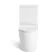 Loma Matt White Rimless Fully Back To Wall Close Coupled Toilet With Premium Soft Close Slim Seat