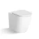 Loma Matt White Rimless Back To Wall Toilet With Premium Soft Close Seat