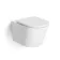 Loma Matt White Rimless Wall Hung Toilet With Premium Soft Close Seat