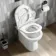 Aruba Rimless Back To Wall Toilet With Soft Close Seat