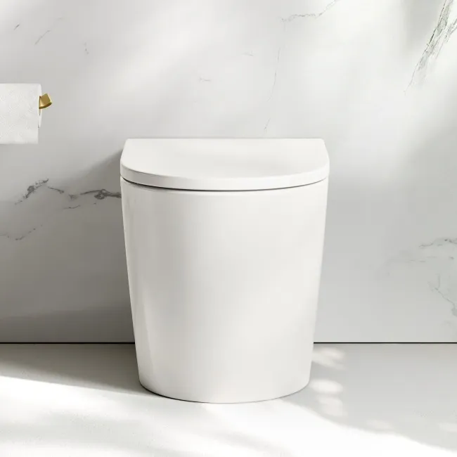 Loma Rimless Back To Wall Toilet With Premium Soft Close Seat