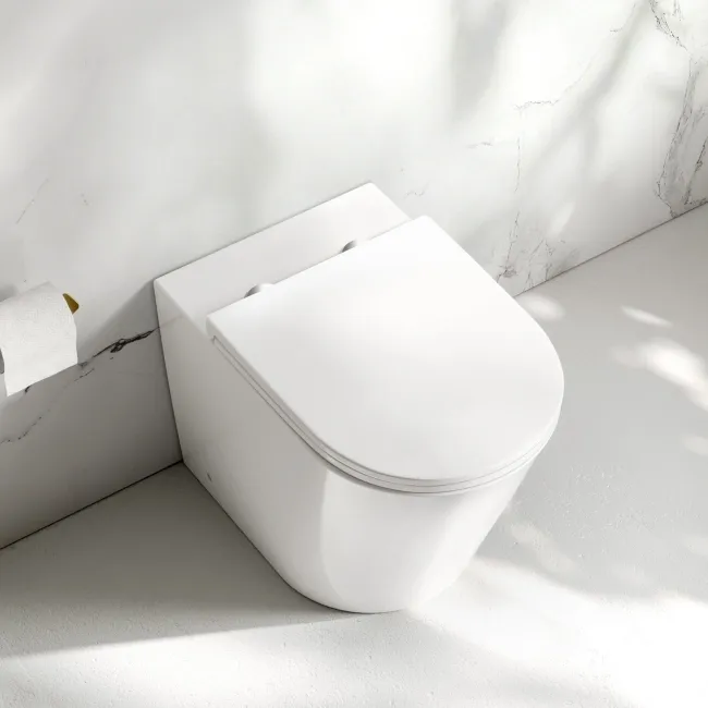 Loma Rimless Back To Wall Toilet With Premium Soft Close Slim Seat
