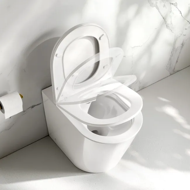Loma Rimless Back To Wall Toilet With Premium Soft Close Slim Seat