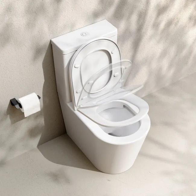 Loma Matt White Rimless Fully Back To Wall Close Coupled Toilet With Premium Soft Close Seat