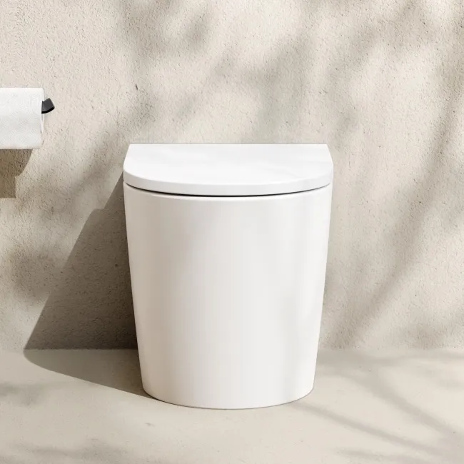 Loma Matt White Rimless Back To Wall Toilet With Premium Soft Close Seat