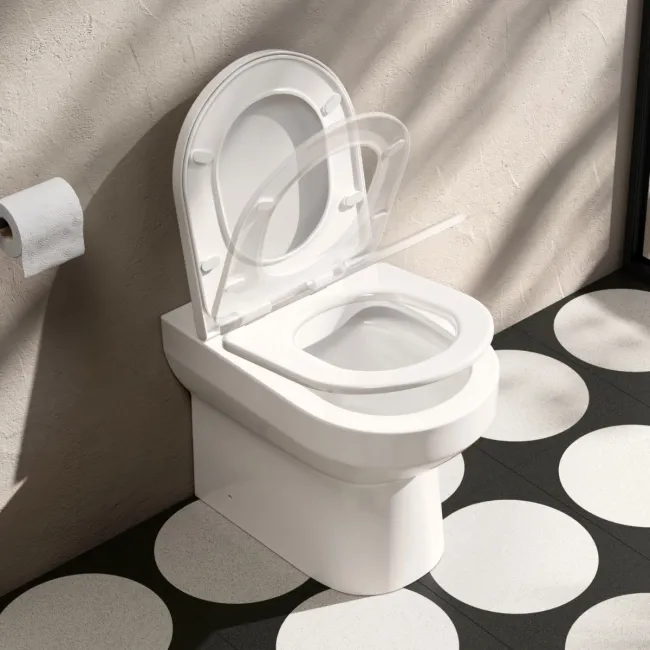 Miami Rimless Back To Wall Toilet With Soft Close Seat