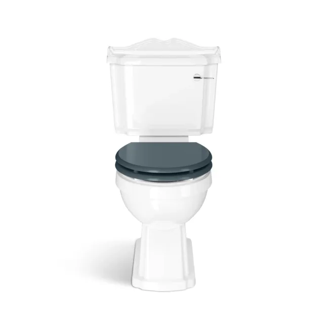 Lima Traditional Close Coupled Toilet With Inky Blue Wooden Seat