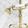 Shannon Brushed Brass Traditional Thermostatic Shower Set with Hand Shower and Soap Dish