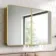 Olivia Matt Brass Mirror Cabinet 710x1000mm