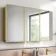 Olivia Matt Brass Mirror Cabinet 710x1200mm